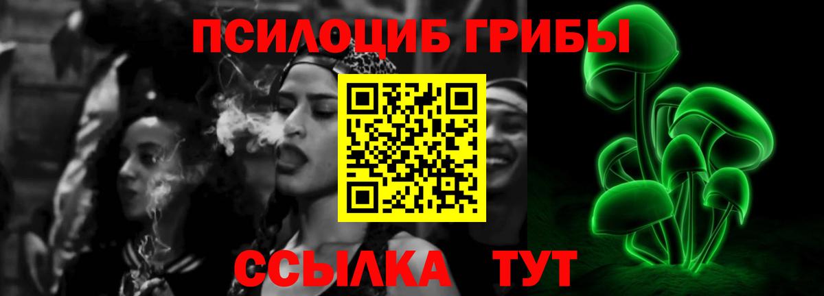 купить закладку  Псилоцибиновые грибы Psilocybine cubensis  Вход с VPN  Большой Камень 
